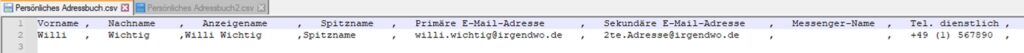 Felder und Inhalt in der csv Datei